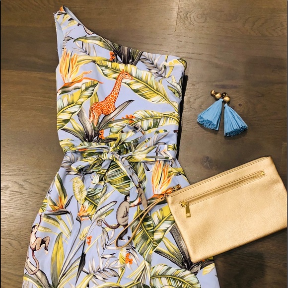 Ann Taylor Dresses & Skirts - Ann Taylor one shoulder jungle print dress XS